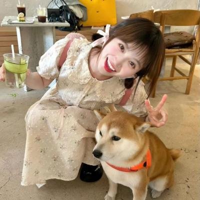 安娜与王子封面