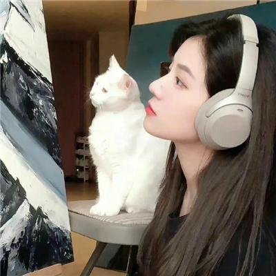 修女有枪封面